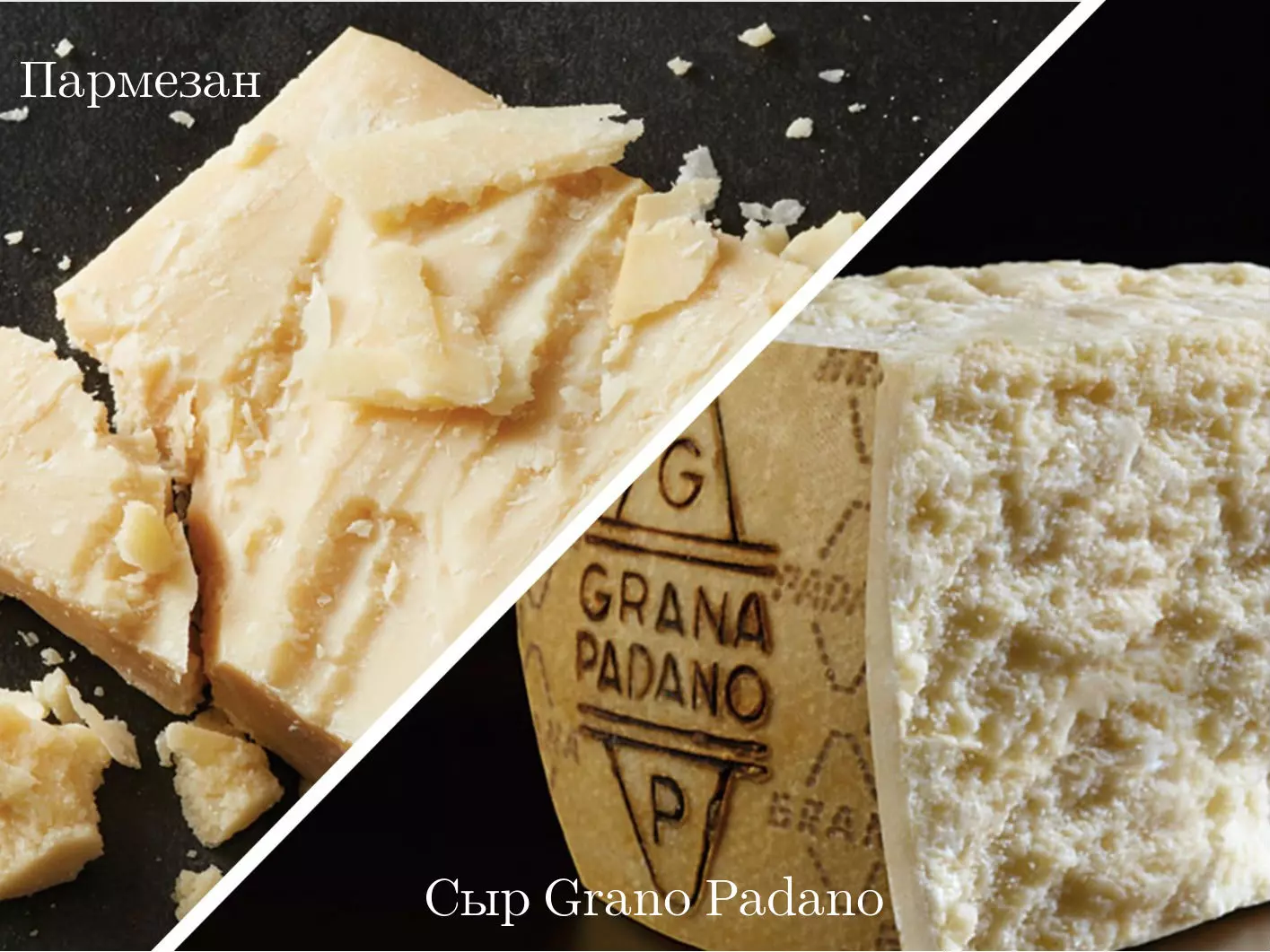 отличия пармезана от сыра Grano Padano