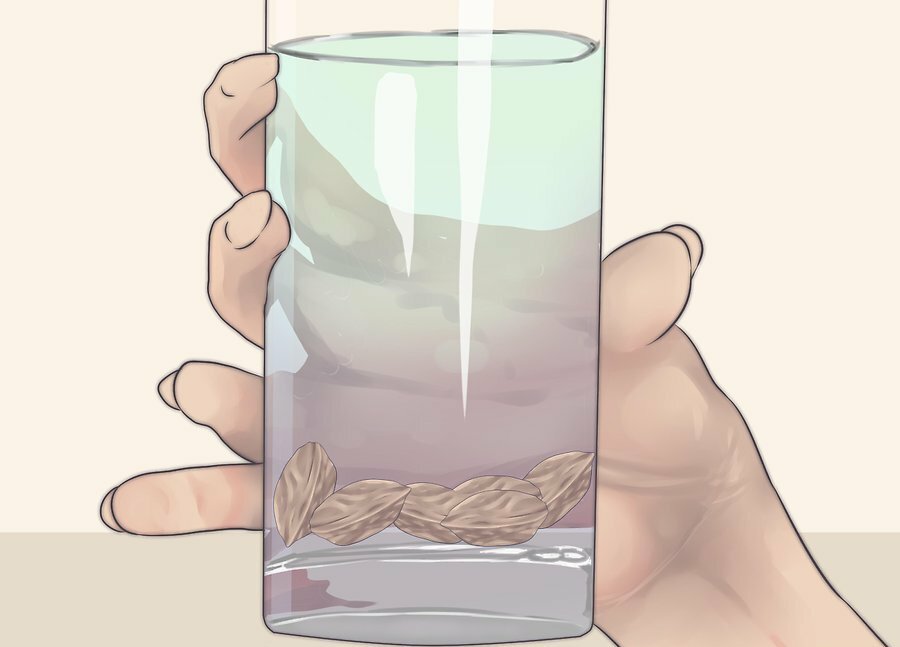 сливовые косточки в стакане воды