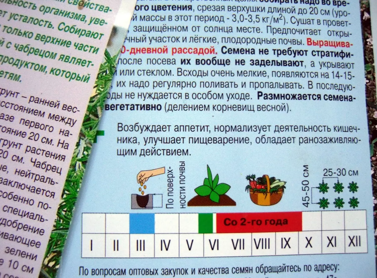 Что означают картинки на семенах