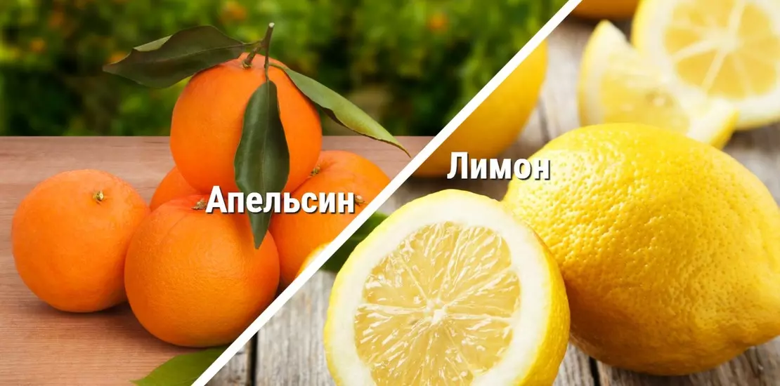 Можно есть апельсины вечером. Лимон нельзя при. Можно ли есть апельсины вечером при похудении.