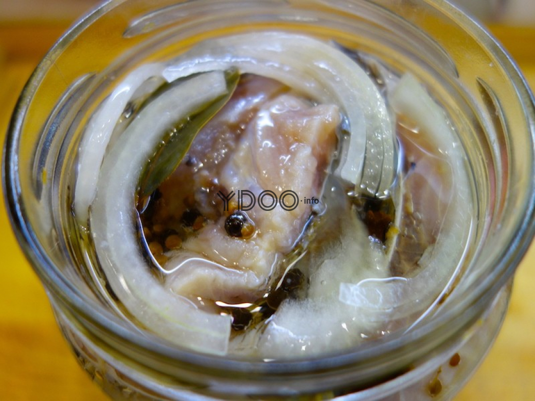 Толстолобик рецепт в масле с луком. Маринованный рыба. Скумбрия в маринаде с луком и уксусом. Маринованный толстолобик. Маринование рыбы в масле.
